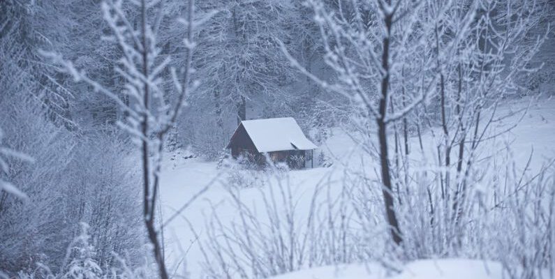 Secluded Spots - Wooden House in Forest in Winter