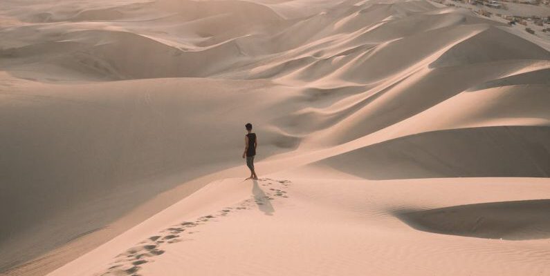 Safari Adventure - High Angle Shot Of A Person Walking Alone In The Desert