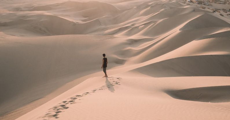 Safari Adventure - High Angle Shot Of A Person Walking Alone In The Desert